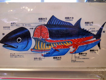 写真:マグロ部位解説