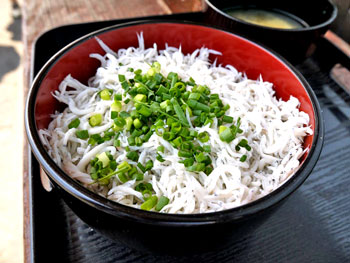 写真:釜揚げしらす丼