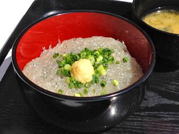 写真:生しらす丼