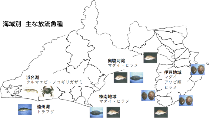絵地図:海域別