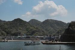 写真:妻良地区の湾岸