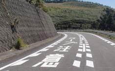 写真:路面標示(カーブ注意)による注意喚起
