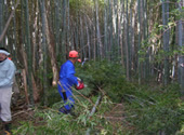 写真:里山づくり1