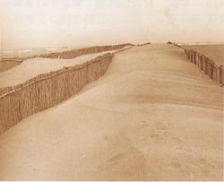 写真:都田川河口
