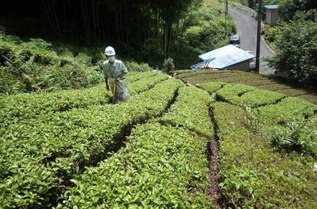 写真:大滝