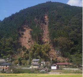 写真：桂山沼側