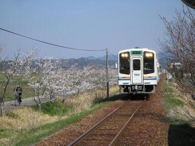 写真：天浜電車正面