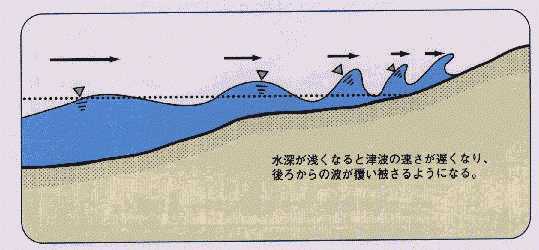 イラスト：海岸での津波波高増大