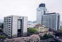 写真：新憲法時代の議会の様子2