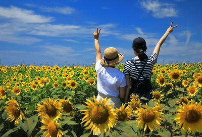 画像:r5「夏の部」