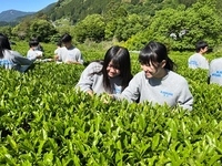 静岡県立川根高等学校