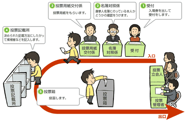 イラスト:投票の流れ