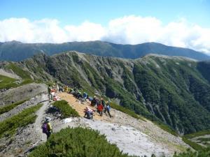写真:職場の様子(林業)5