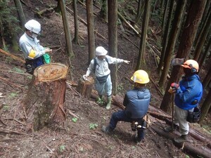 写真:職場の様子 林業1