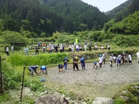 写真：しずおか棚田くらぶ・里地くらぶ