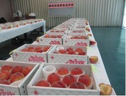 写真:桃品評会