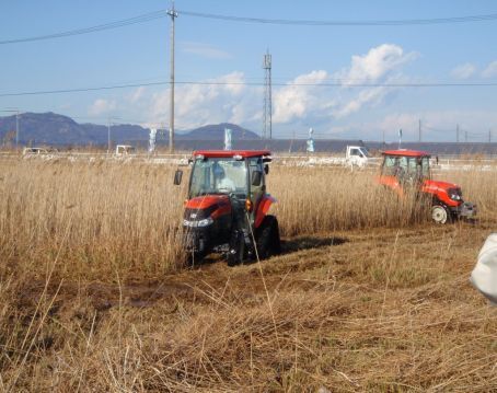 写真：耕起による保全管理の様子