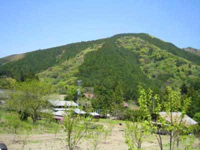 写真:畑からの山