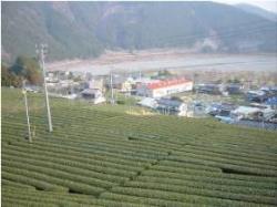写真:久野脇地域