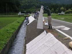 写真:雑草対策