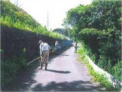 写真:草刈り