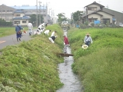 写真:草刈り