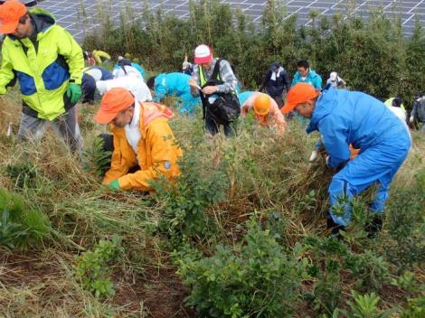 写真：掛川市の植樹祭3