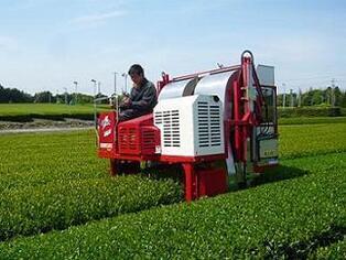 写真:茶園での機械作業の様子