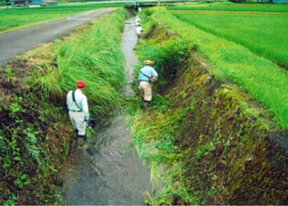 写真：除草活動の様子