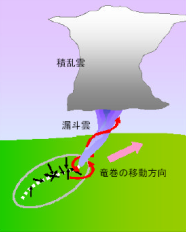 イラスト:積乱雲、漏斗雲、竜巻の移動方向