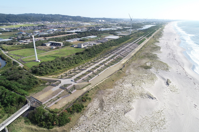 掛川市沖之須 森の防潮堤の写真