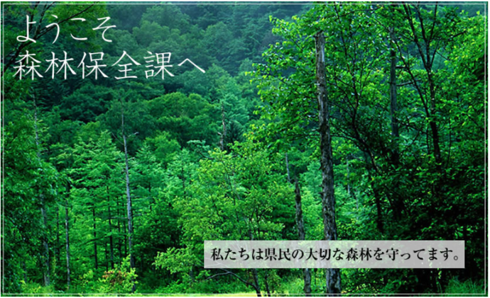 ようこそ森林保全課へ　私たちは県民の大切な森林を守ってます。