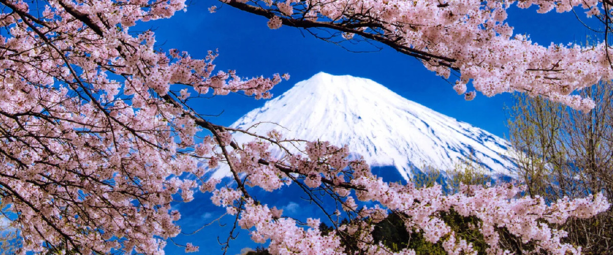 Foto: Paisagem de primavera