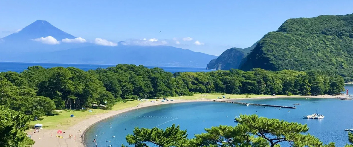 摄影：夏季美景