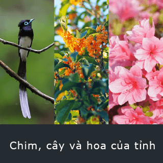Chim, cây và hoa của tỉnh