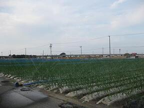 写真:三方原用水篠原地区