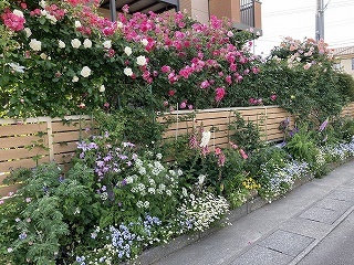 5月 東に面した道路からの眺め