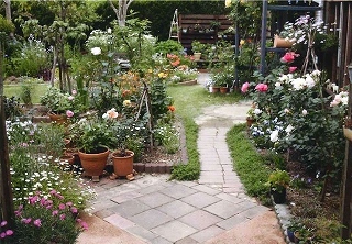白やピンクを集めて華やかに