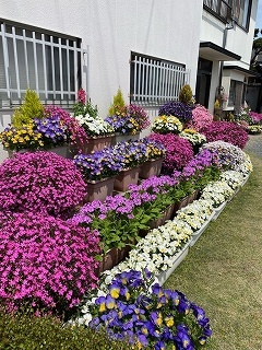 プランターで立体的に