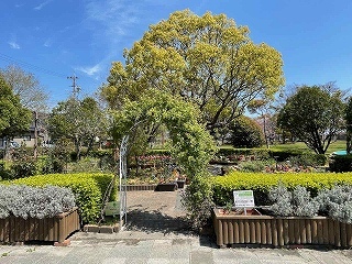ハーブ園の全景写真