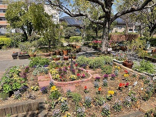 紫や黄色の花で満開