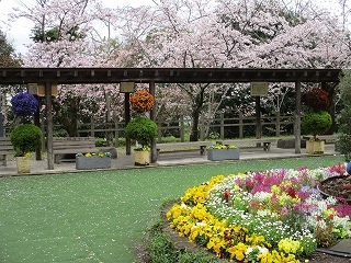 円形の花壇に黄色の花、奥には球状のハンギングバスケット