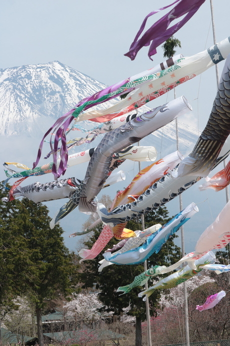 写真:春の部特選