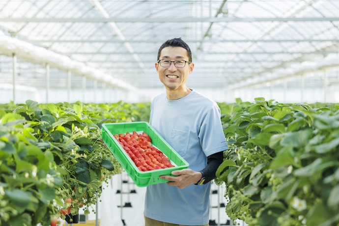 イチゴを持つ新規就農者