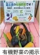 有機野菜の提示