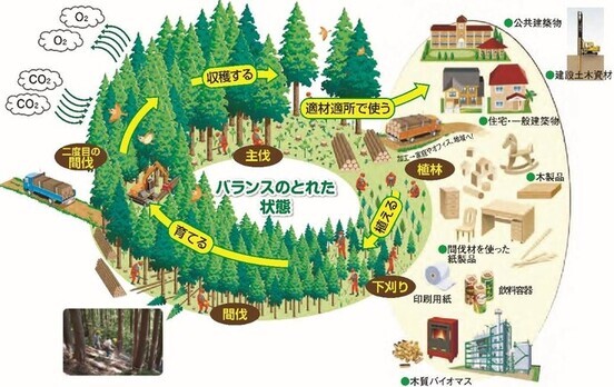 森林資源の循環利用のイメージ(出典 林野庁)