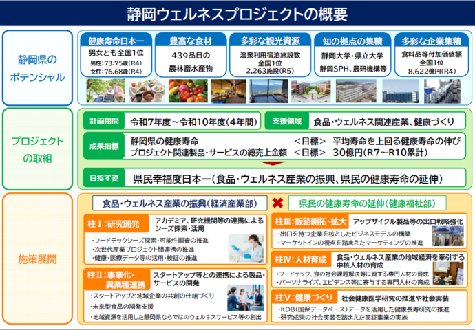 戦略概要