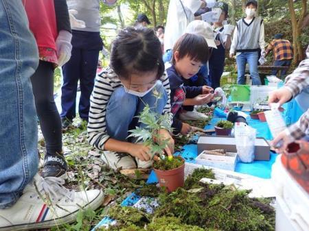 写真:苔玉作りの様子
