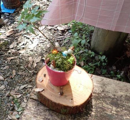 写真:苔玉作品