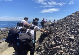 フィールドワーク（恵比須島・下田市）